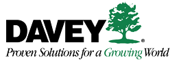 Welcome to The Davey Tree Experts